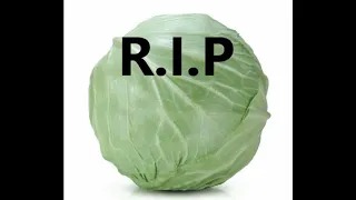 In memory of cabbages