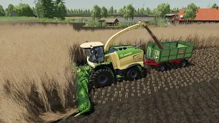 NF Marsch FS22 август, четвертый год / Farming Simulator 22