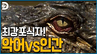 악어vs베어그릴스 최강자 전투 그 승자는? [Man vs Wild]