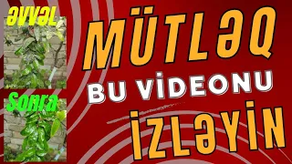 📢🌱 Bunu edin ki ağac məhv olmasın  - Bu qulluqu mütləq edin🌱 #elmiəsaslarla. 📢 Nar qulluqu