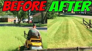 Mowing Tall Grass Clean Up With Stripes Using Walker Mower H38I