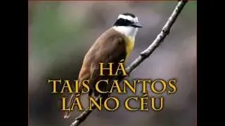 Hinário Adventista-80 há tais Cantos Lá no Céu