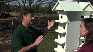 Purple Martin Houses