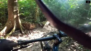 BALIK LOOB SA TRAIL AFTER 7 MONTHS | T15 - CHESNUT MTB PARK