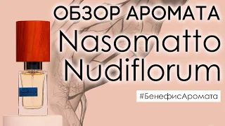 Обзор и отзывы об аромате Nasomatto Nudiflorum (Насоматто Нудифлорум) от Духи.рф | Бенефис аромата