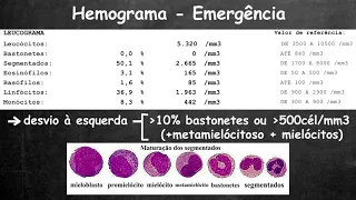 Avaliação rápida do hemograma