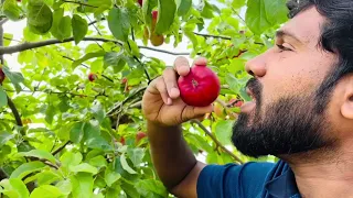 Our First time visit to Apple Farm 🍎 in Canada 🇨🇦