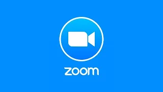 Как работать с приложением для видеоконференций Zoom