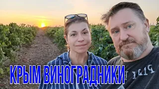 ALMA Valley в Витино, шампанерия Золотая Балка в Балаклаве