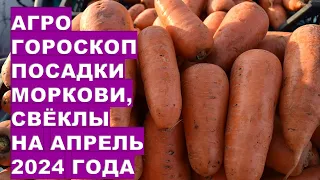 Агрогороскоп посадки моркови, свёклы на апрель 2024 Agrohoroscope for planting carrots and beets for