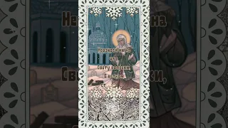 День Святой Ксении Петербургской, 6 февраля