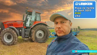 Praca na farmie w Danii #244