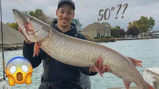 Jigging the Detroit River...Absolute MEGA Lake St Clair Musky!