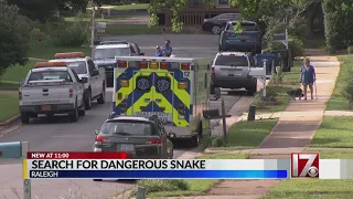 Neighbors changing up routines to avoid venomous zebra cobra snake