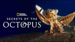 Secrets of the Octopus Documentary FULL MOVIE (2024) - By James Cameron [National Geographic]