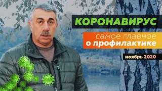 Коронавирус. Самое главное о профилактике на сегодня | Ноябрь 2020. | Доктор Комаровский