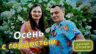 ОСЕНЬЮ Одна ложка под куст Две под дерево и Сад будет ломиться от урожая