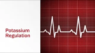 Renal Physiology: Potassium Regulation