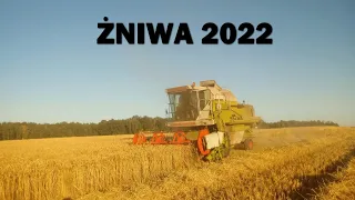 Żniwa 2022 🔥 Kosimy pszenżyto! 🔥 Claas Dominator 78s i Massey Ferguson 6180 w akcji!