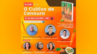 O Cultivo de Cenoura em Condições Tropicais e Subtropicais