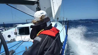 Patrice - 2013 Rolex Sydney Hobart Highlights