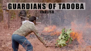 Guardians of Tadoba -  English