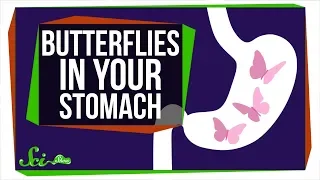 Why Do You Feel Butterflies in Your Stomach?