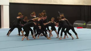 The Floor: Wexford Gymnastics Team