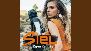 Ripni Kalinke (Radio Edit)