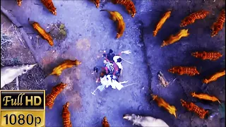 beauty was surrounded by tigers, but boy came to the rescue and captured the tiger with one move!