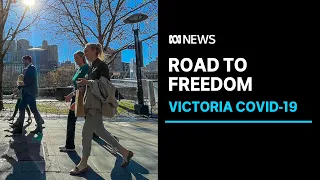 Victoria's roadmap out of COVID lockdown revealed | ABC News