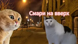 СЛОВО КОТАНА ВИСКАС НА АСФАЛЬТЕ ( 1 СЕРИЯ ) (1-2/4) ЧАСТЕЙ