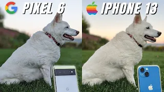 Google Pixel 6 vs iPhone 13 Camera Comparison