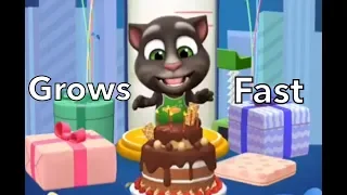 My Talking Tom 2 Glitch