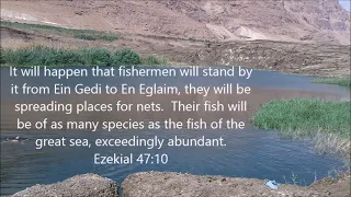 The Dead Sea Prophecy- The Original Video