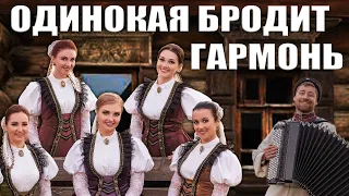 Song "The Lonely Harmonist Wanders" Moscow Cossack Choir