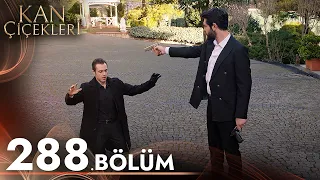 Kan Çiçekleri 288. Bölüm