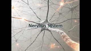 Medical Terminology Diagnostic Procedures for the Nervous System