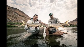 largemouth yellowfish