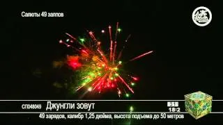 СП048049 Джунгли зовут 11