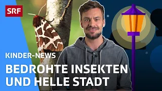 Corona-Virus, Lichtverschmutzung & gefährdete Insekten | Kinder-News | SRF Kids – Kindervideos