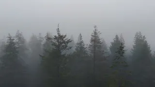 The Fog. Dji Mini 4 Pro