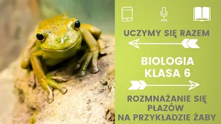 Biologia klasa 6. Rozmnażanie się płazów na przykładzie żaby. Płazy w Polsce. Uczymy się razem