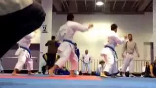 22nd World Senior Karate Championships 2014- Japan Male Team Kata warming up