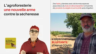 Hervé COVES : L'agroforesterie, une nouvelle arme contre la sécheresse