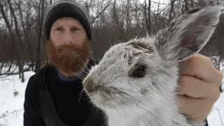 Primitive Skills and Traps in the Wild | Animal Traps and Snaring ASMR (Silent)