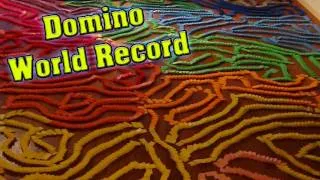 WORLD RECORD - Domino - Biggest / Longest Squiggle Line