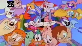 Tiny Toon Adventures-Theme Variations