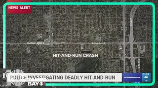 57-year-old man killed in St. Pete hit-and-run, police say