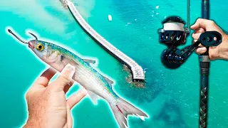 Tossing Big Mullet off the Pier! Epic Results!